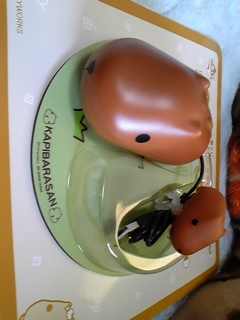 090410_172845.jpg